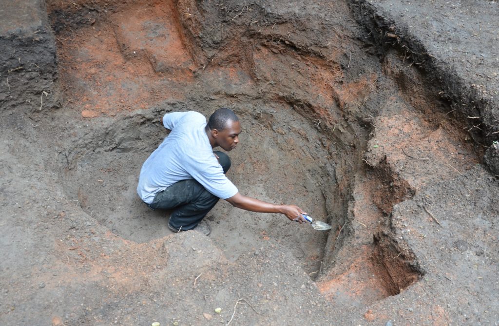 Akin Ogundiran in the Grove digging