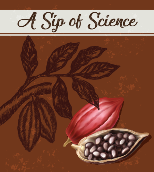 Words A Sip of Science and pictures of cocoa plant and seed