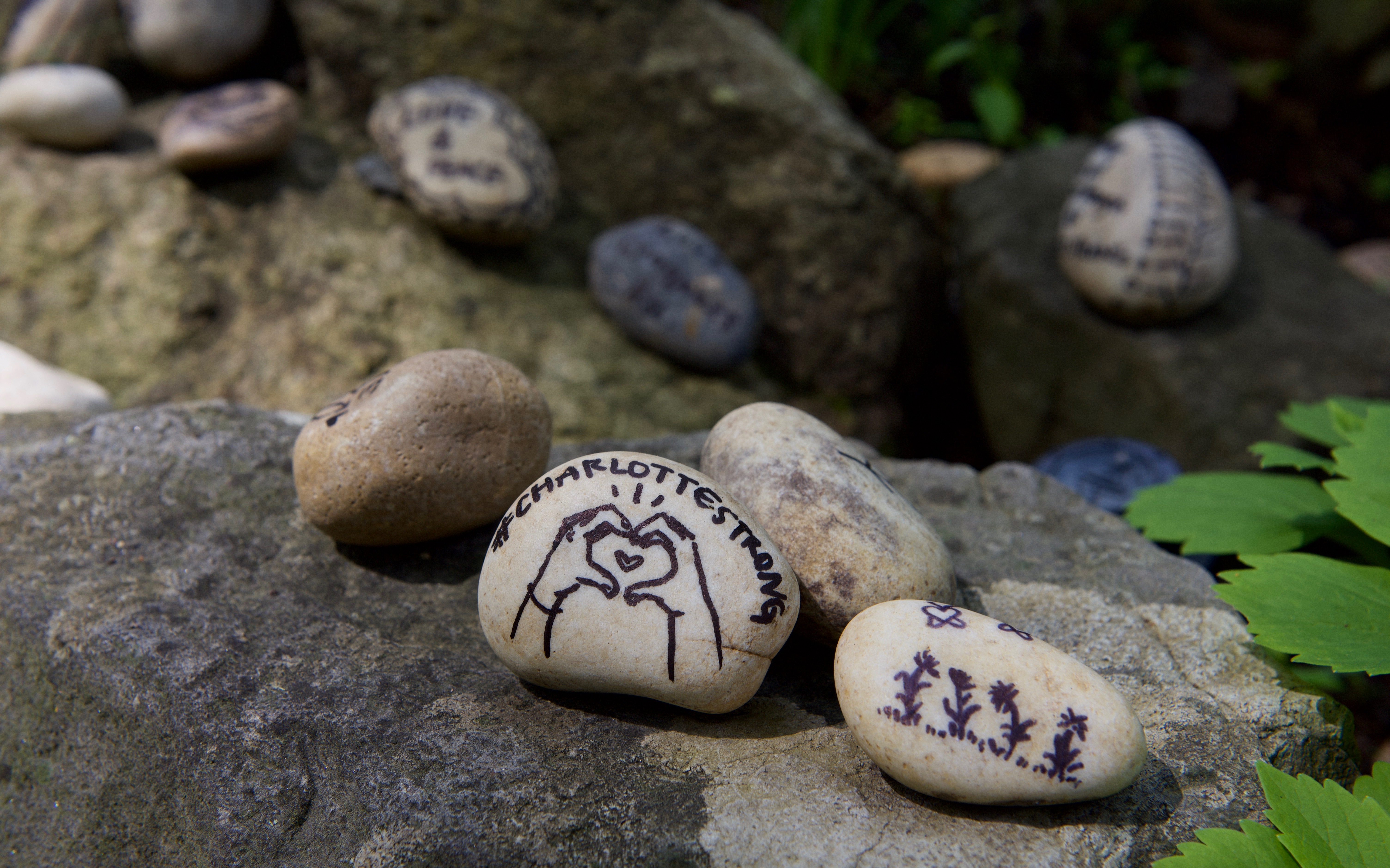 Several stones on larger rocks. One stone has the words Charlotte Strong and hands with a heart drawn on it.